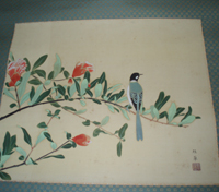 金島桂華 茶拓桜